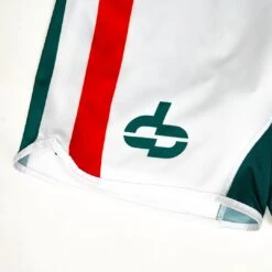 Mexico Shorts 8 Mexico Shorts -Hyperfly Shop mexico shorts apparel bottoms hyperfly 483759