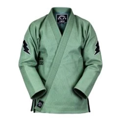 The MasterFly Gi